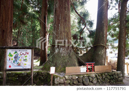 Muro Ryuketsu Shrine and the Intertwined Cedars in Nara Prefecture 117755791