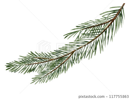 Watercolor illustration of Pine or Fir branches. Drawing with evergreen Christmas tree on isolated background for New Year greeting cards or holiday invitations. Coniferous twigs for xmas postcards. Watercolor illustration of Pine or Fir branches. Drawing with evergreen Christmas tree on isolated background for New Year greeting cards or holiday invitations. Coniferous twigs for xmas postcards. 117755863