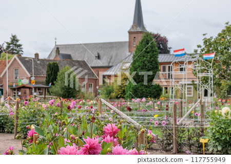 Landscape near Eibergen in the dutch gelderland Landscape near Eibergen in the dutch gelderland 117755949