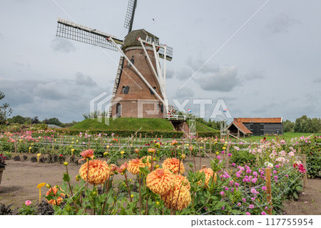 Landscape near Eibergen in the dutch gelderland Landscape near Eibergen in the dutch gelderland 117755954