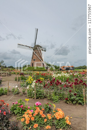 Landscape near Eibergen in the dutch gelderland Landscape near Eibergen in the dutch gelderland 117755967