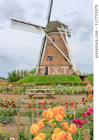 Landscape near Eibergen in the dutch gelderland Landscape near Eibergen in the dutch gelderland 117755970