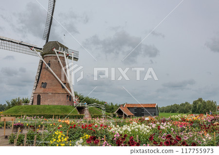 Landscape near Eibergen in the dutch gelderland Landscape near Eibergen in the dutch gelderland 117755973