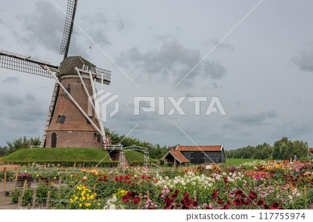 Landscape near Eibergen in the dutch gelderland 117755974