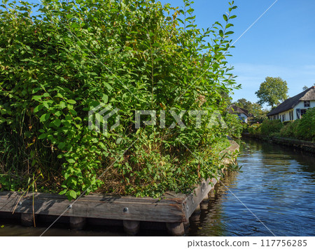 the canals of Giethoorn in the netherlands 117756285