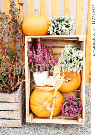 pumpkin patch at farm pumpkin patch at farm 117756474