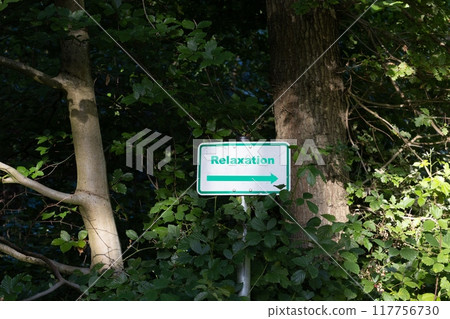 Picture of a green framed sign with a white base and the inscription relaxation in a dense forest 117756730