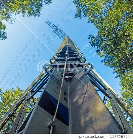 Image of a tall electricity pylon in a forest taken from ground level 117756734