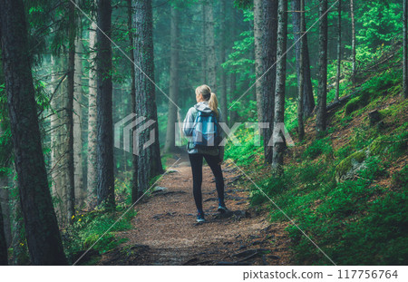 Woman in a blue jacket with backpack is walking on a forest trai Woman in a blue jacket with backpack is walking on a forest trai 117756764
