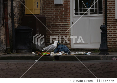 A seagull is standing on a sidewalk next to a trash can A seagull is standing on a sidewalk next to a trash can 117756776