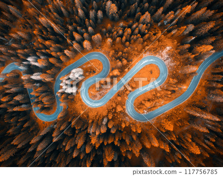 Aerial view of wet curvy road and orange forest in golden autumn Aerial view of wet curvy road and orange forest in golden autumn 117756785