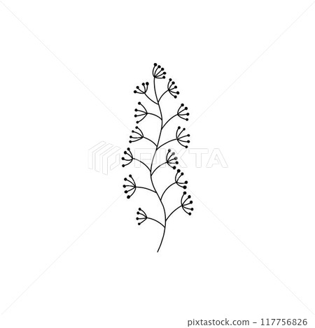 Flower branch doodle. Hand drawn herb line plant with leaves. Summer and spring rural branch. Natural decorative foliage sketch leaf. Floral isolated elements for wedding greeting card vector icon Flower branch doodle. Hand drawn herb line plant with leaves. Summer and spring rural branch. Natural decorative foliage sketch leaf. Floral isolated elements for wedding greeting card vector icon 117756826