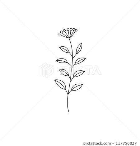 Flower branch doodle. Hand drawn herb line plant with leaves. Summer and spring rural branch. Natural decorative foliage sketch leaf. Floral isolated elements for wedding greeting card vector icon 117756827