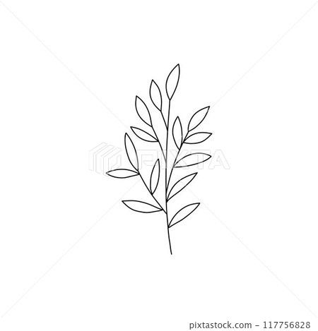 Flower branch doodle. Hand drawn herb line plant with leaves. Summer and spring rural branch. Natural decorative foliage sketch leaf. Floral isolated elements for wedding greeting card vector icon 117756828