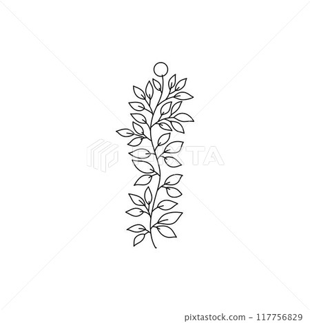 Flower branch doodle. Hand drawn herb line plant with leaves. Summer and spring rural branch. Natural decorative foliage sketch leaf. Floral isolated elements for wedding greeting card vector icon Flower branch doodle. Hand drawn herb line plant with leaves. Summer and spring rural branch. Natural decorative foliage sketch leaf. Floral isolated elements for wedding greeting card vector icon 117756829