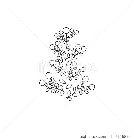 Flower branch doodle. Hand drawn herb line plant with leaves. Summer and spring rural branch. Natural decorative foliage sketch leaf. Floral isolated elements for wedding greeting card vector icon Flower branch doodle. Hand drawn herb line plant with leaves. Summer and spring rural branch. Natural decorative foliage sketch leaf. Floral isolated elements for wedding greeting card vector icon 117756834