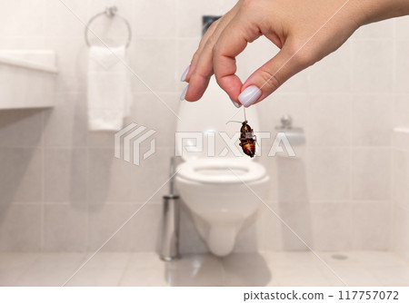 Hand holding big dead cockroach over blurred background of bathroom. Concept of pest control requirement 117757072