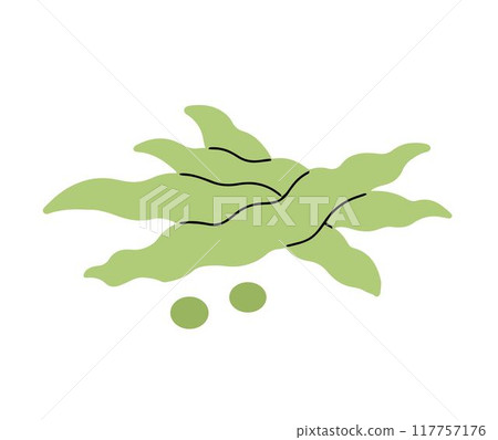 Green beans on white background 117757176