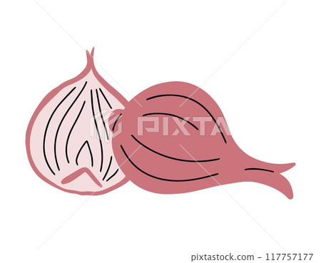 Onions on a white background 117757177