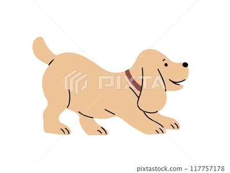 Cheerful dog spaniel on white background 117757178