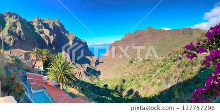 Wild nature of Teno Wild nature of Teno 117757296