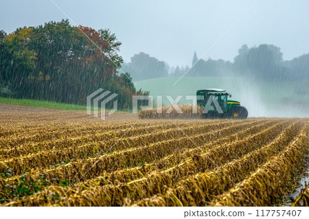 A green tractor harvests a golden cornfield during a heavy rainstorm, with autumn trees and a misty church spire visible in the background 117757407