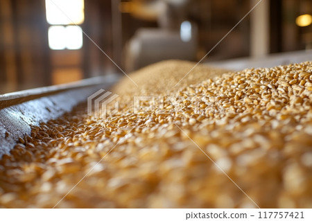 A close-up view of golden harvested grain in a wooden container, showcasing the texture and abundance of the crop in warm, natural light 117757421