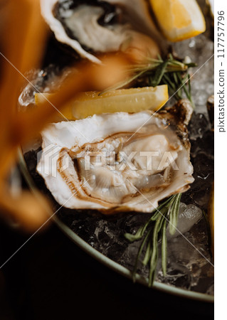 Fresh oysters with lemon on ice, ideal for gourmet seafood dishes and fine dining experiences 117757796