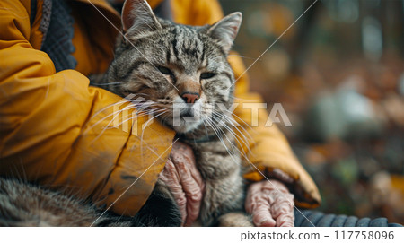 Elderly Person Cradling a Contented Cat Outdoors Elderly Person Cradling a Contented Cat Outdoors 117758096