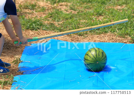 Watermelon smashing - Summer vacation memories 117758513