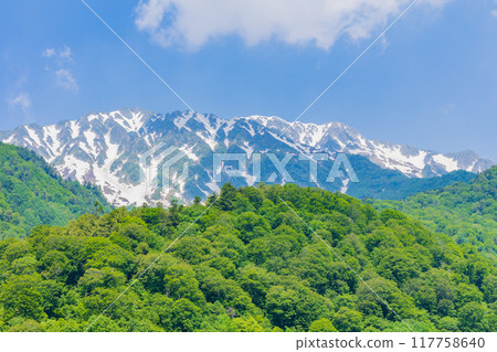 Tateyama Kurobe Alpine Route in early summer Kurobe Dam (Lake Kurobe) 117758640