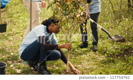 Diverse climate change activists work to plant trees in the woods, contributing to nature and wildlife preservation. Volunteers bringing ecological justice to the natural forest habitat. Camera A. 117758762