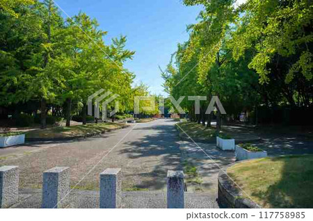 Oizumi Green Area 117758985