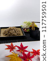 Enjoying autumn with Zaru Soba 117759501
