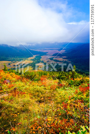 涉津山、尾瀨原的紅葉（豎） 117759591