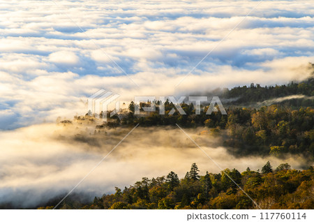 從北海道美幌子看到的清晨屈斜路湖 從北海道美幌子看到的清晨屈斜路湖 117760114