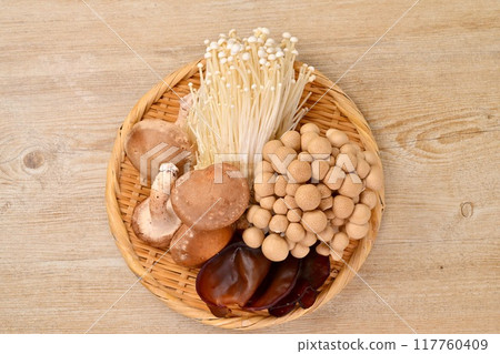 蘑菇成分的圖像，香菇，姬菇，金針菇，木耳菇。 117760409