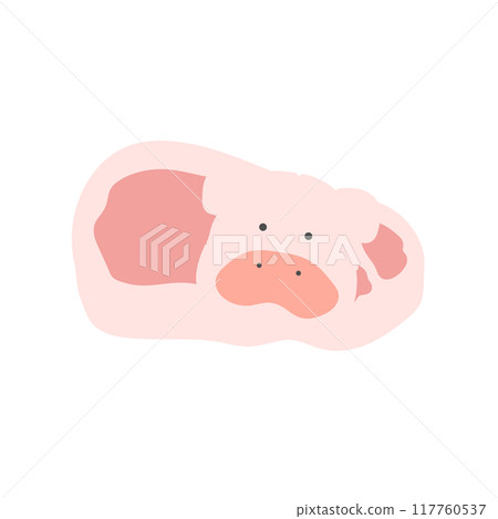 豬和豬肉的插圖 豬和豬肉的插圖 117760537