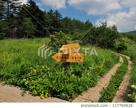 [Mountain Sign] Signpost at Yashimagahara Marsh, Nagano Prefecture (2024) 117760626