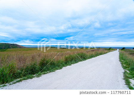 夏季大豆山白色路北海道 117760711