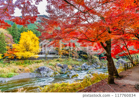 染滿紅葉的東京禦嶽溪谷～玉堂美術館附近～ 117760834