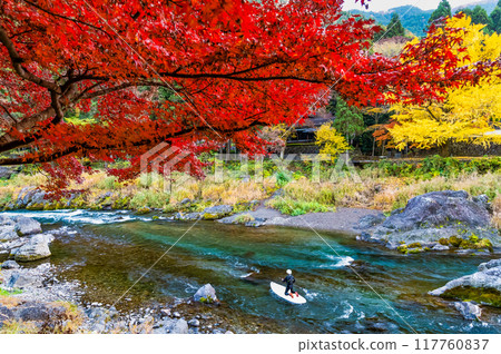 染滿紅葉的東京禦嶽溪谷~玉堂美術館附近~ 染滿紅葉的東京禦嶽溪谷~玉堂美術館附近~ 117760837
