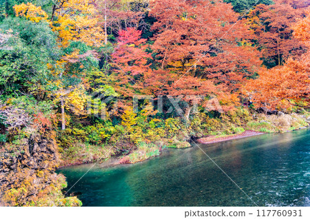 Tokyo: Mitake Valley dyed in autumn leaves Tokyo: Mitake Valley dyed in autumn leaves 117760931