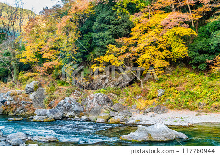 東京的御岳溪谷染滿了秋葉 117760944