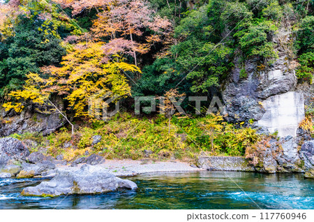 東京的御岳溪谷染滿了秋葉 東京的御岳溪谷染滿了秋葉 117760946