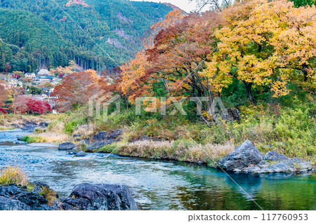 Tokyo: Mitake Valley dyed in autumn leaves Tokyo: Mitake Valley dyed in autumn leaves 117760953