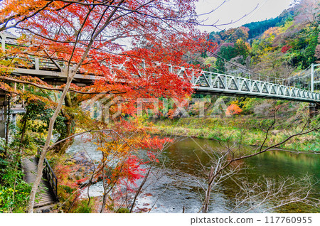 Tokyo: Mitake Valley dyed in autumn leaves Tokyo: Mitake Valley dyed in autumn leaves 117760955
