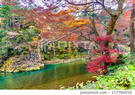 Tokyo: Mitake Valley dyed in autumn leaves Tokyo: Mitake Valley dyed in autumn leaves 117760956