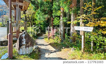 Tsumago-juku to Magome-juku Trail (Autumn) 117761083