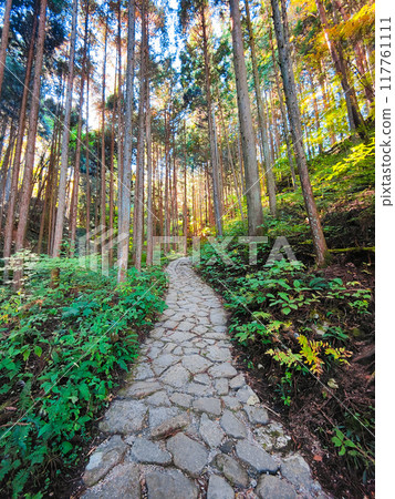 Tsumago-juku to Magome-juku Trail (Autumn) Tsumago-juku to Magome-juku Trail (Autumn) 117761111